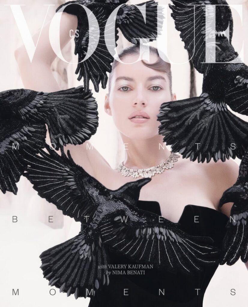 Valery Kaufman model