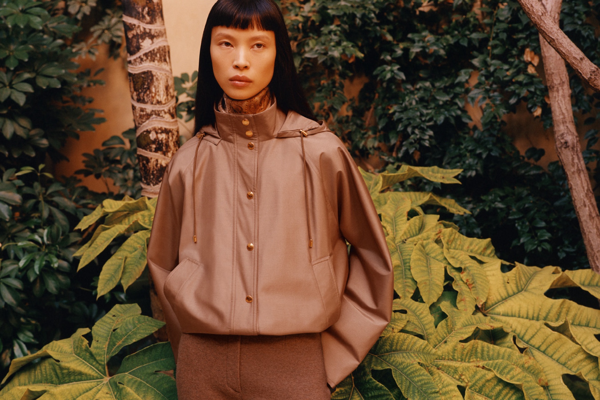 Diane Chiu model