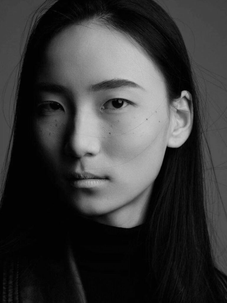 Menglin Wang model